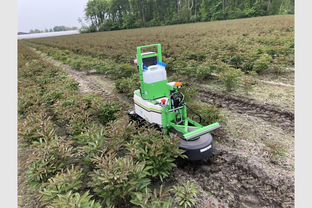 Innovation und Automatisierung im Bereich Unkrautbekämpfung